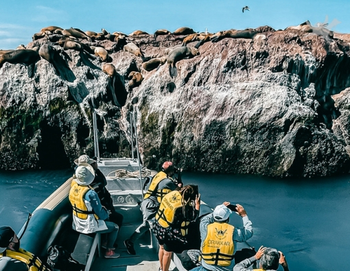 Puerto Deseado: Una ría con la diversidad más variada en especies, colores y paisajes