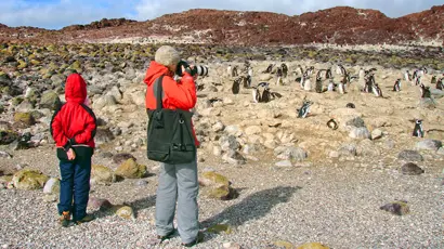 Pinguinos y gente