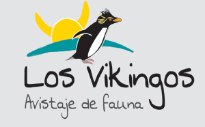 Los Vikingos